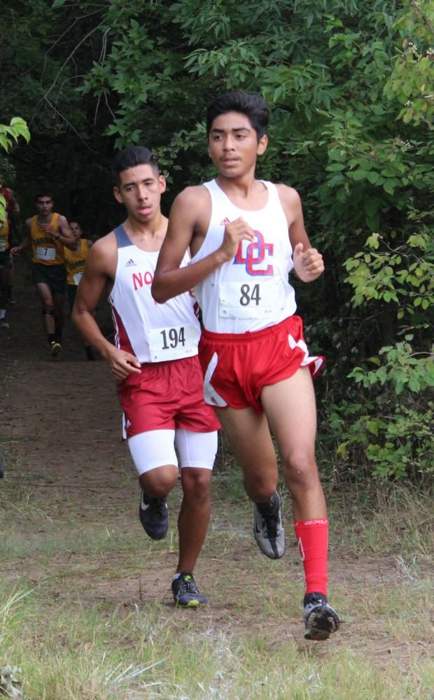Cross country earns medals at first meet