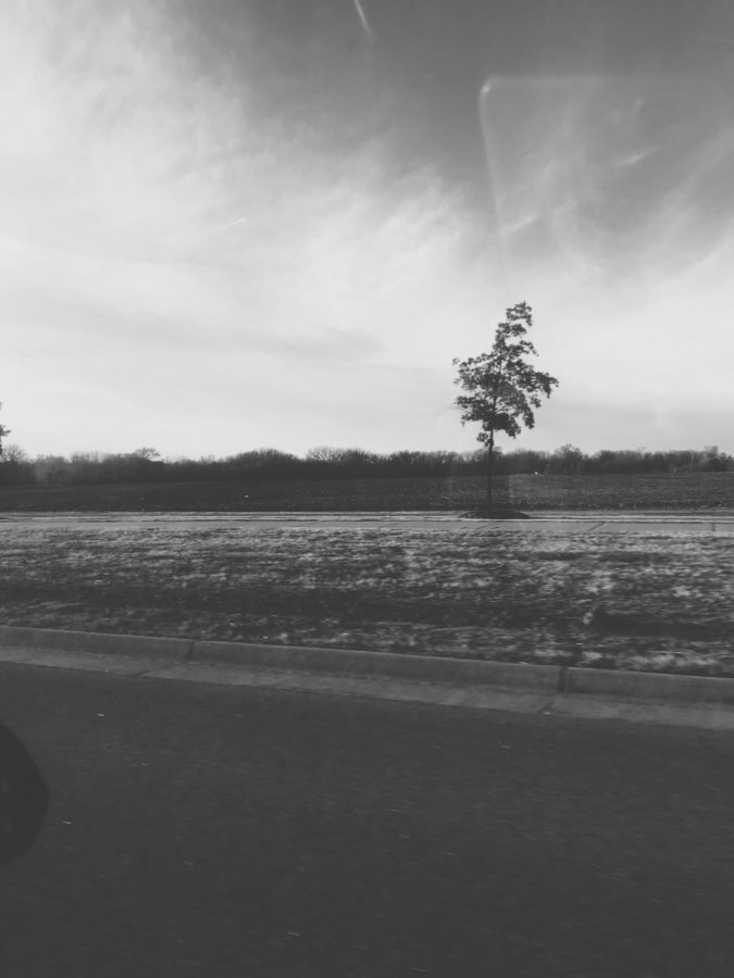 Through the seasons: a drive around Kansas