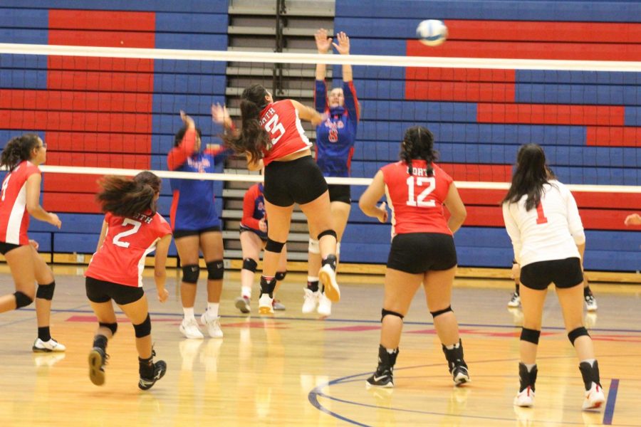 Volleyball defeats South