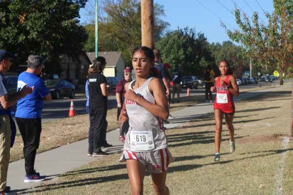Ornelas, two others qualify for state in cross country