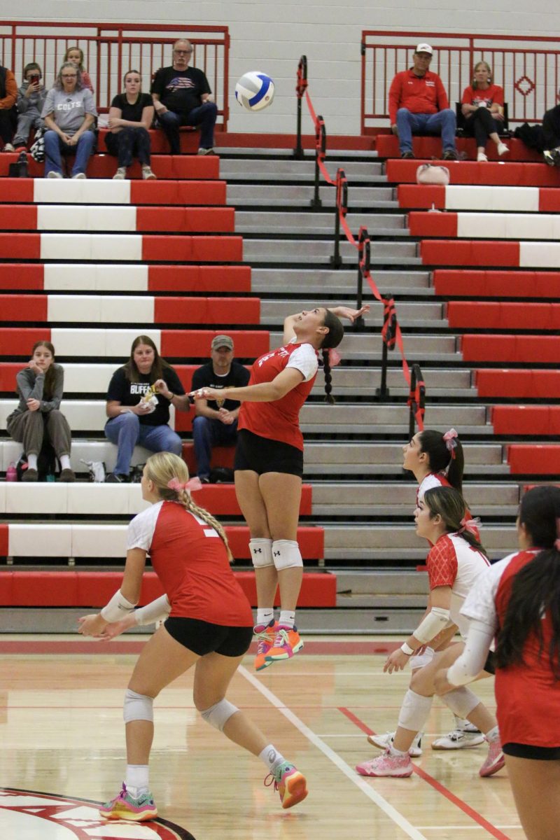 Senior Cora Daggett goes for a kill against Campus in the first round of sub state.