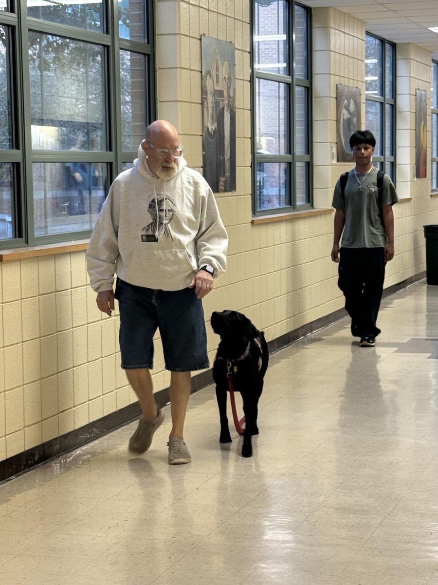 Aaron Fowler walks Kumba, his therapy dog in training. Fowler and Kumba are a fixture in North hallways before school.